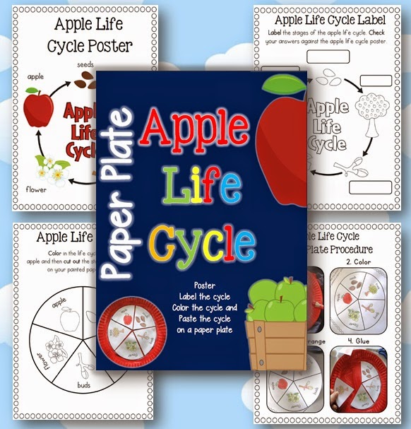 Paper Plate Apple Life Cycle