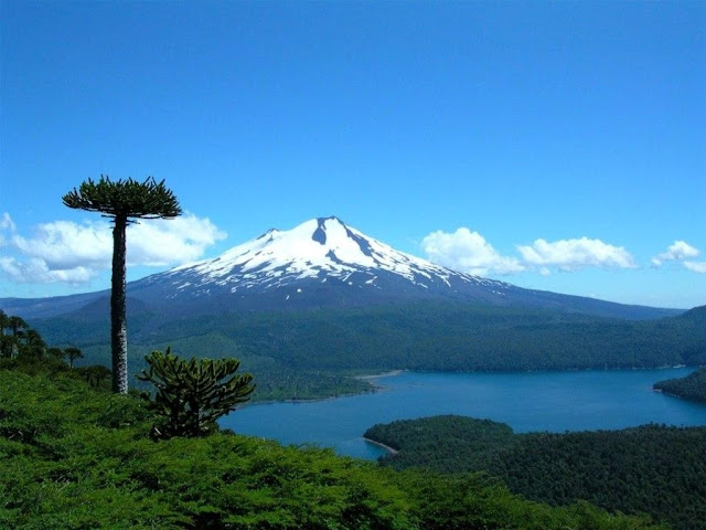 http://3.bp.blogspot.com/-jMWsqoGmI9g/TeTeWQQOp4I/AAAAAAAAAzk/lYI_1H8mgPU/s1600/laima-volcano-in-chile+of+Pictures+of+nature-wallpaper-.jpg