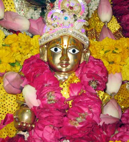 ladoo gopal ji