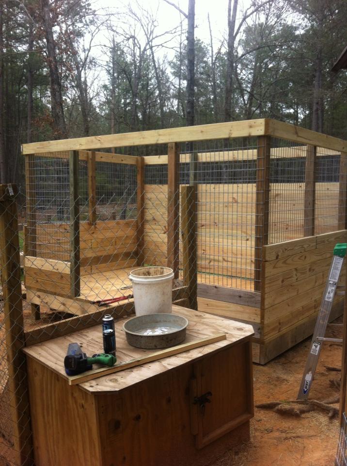 The Real APBT Dog Kennel Setups and Designs