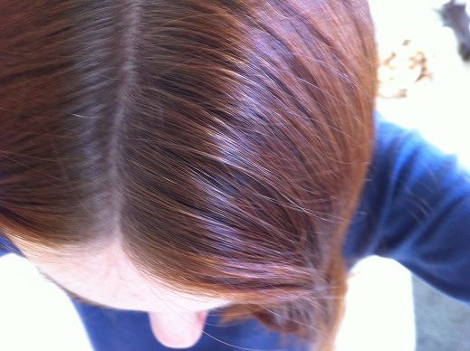 Cyberspace Diary Place How To Henna Your Roots
