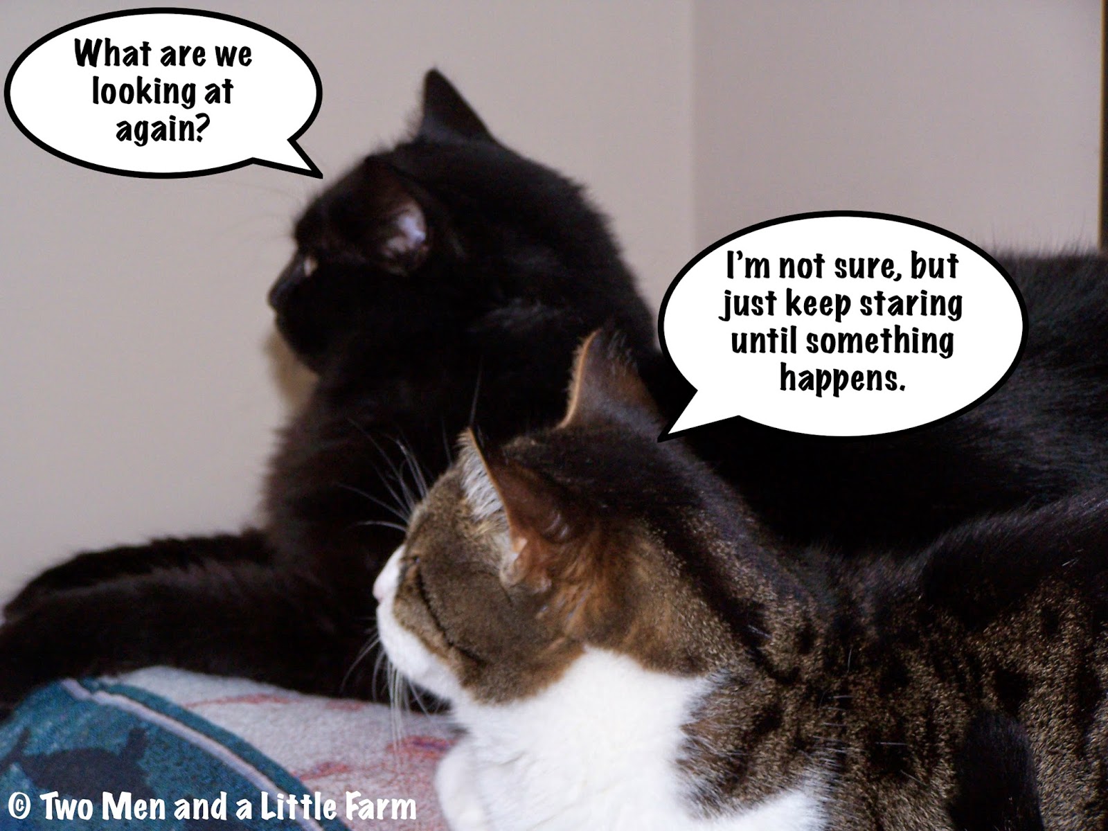 Two Men and a Little Farm