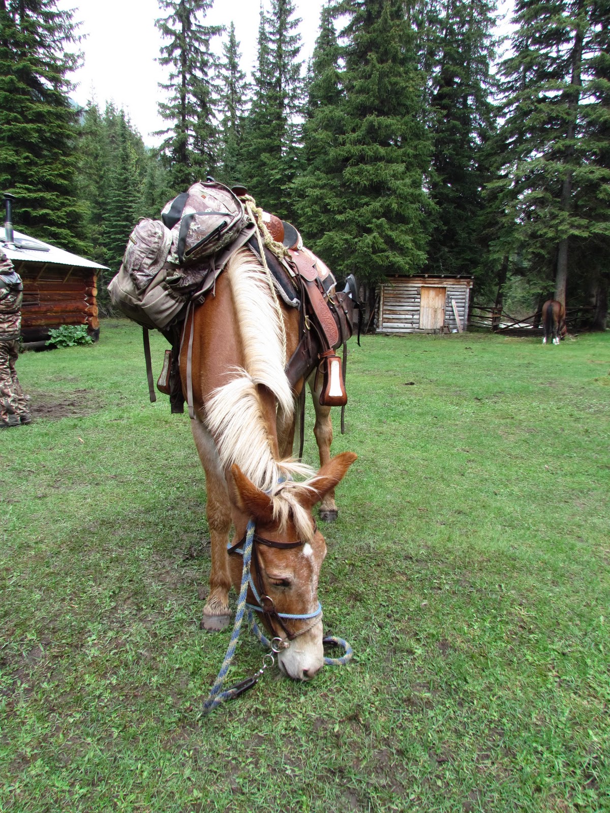 Kristy Titus British Columbia Black Bear Hunt Gear List