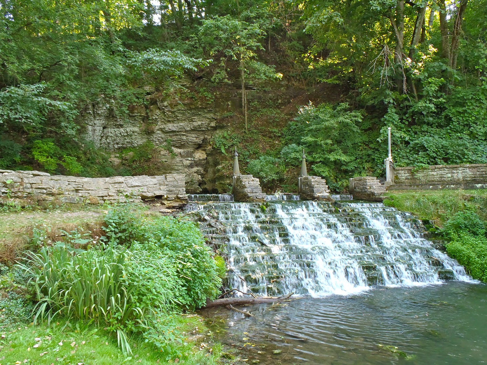 The Rogue Outdoors Iowa Driftless Trout Run
