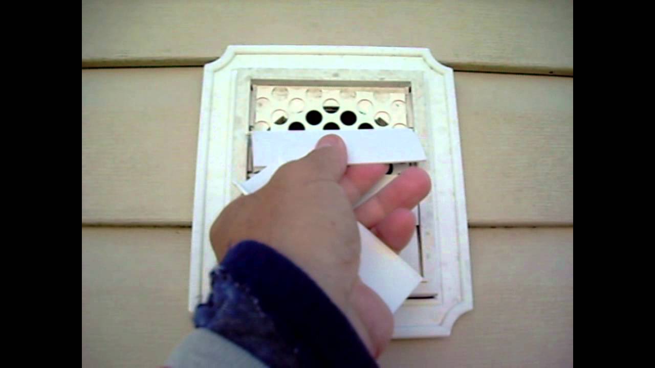 Bird In Everything Birds In Dryer Vent