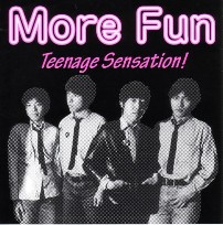 More Fun - "Teenage Sensation!" (7",Target Earth - 1996)