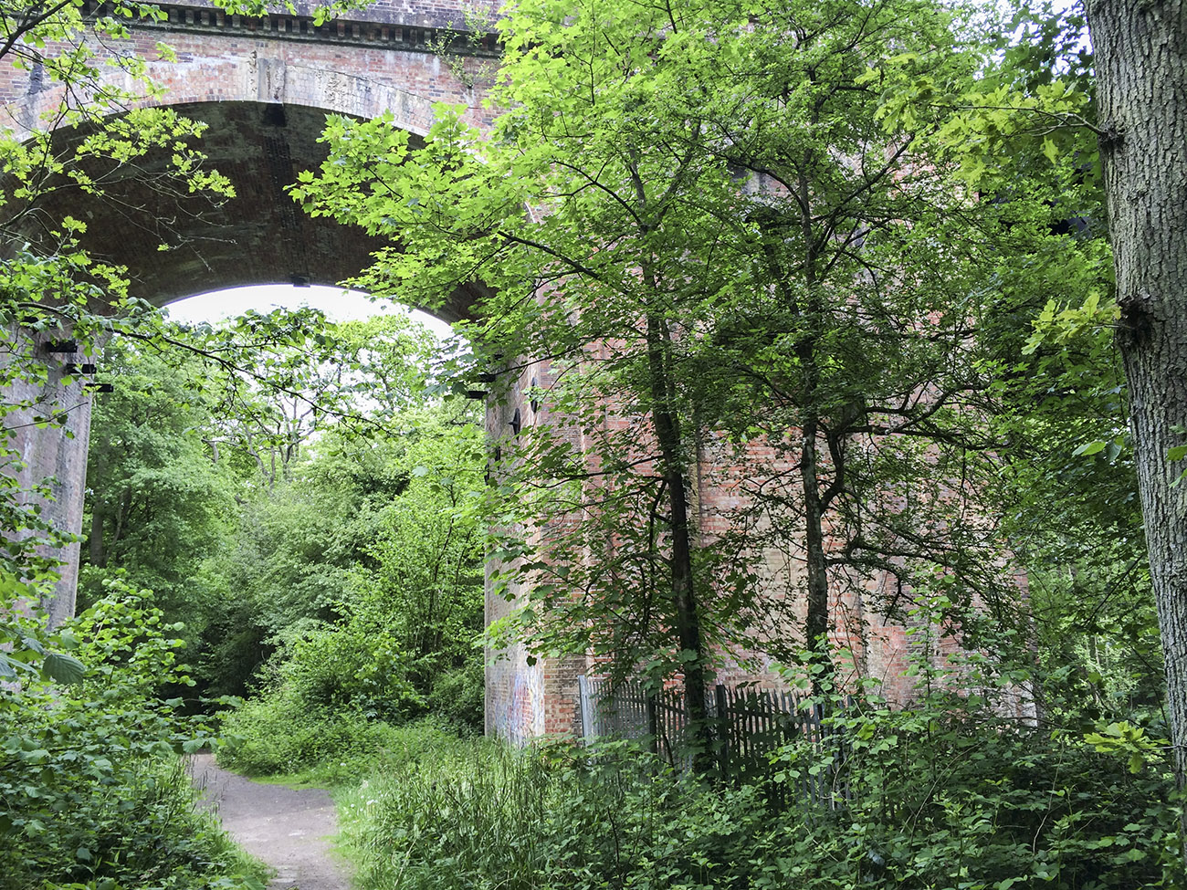 Viaduct in the woods behind Queen Victoria Hospital, near East Grinstead. 21 May 2014. Viaduct in the woods behind Queen Victoria Hospital, near East Grinstead. 21 May 2014.