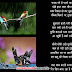 Birds in Rain Poems For Kids in Hindi | Monsoon Poems in Hindi