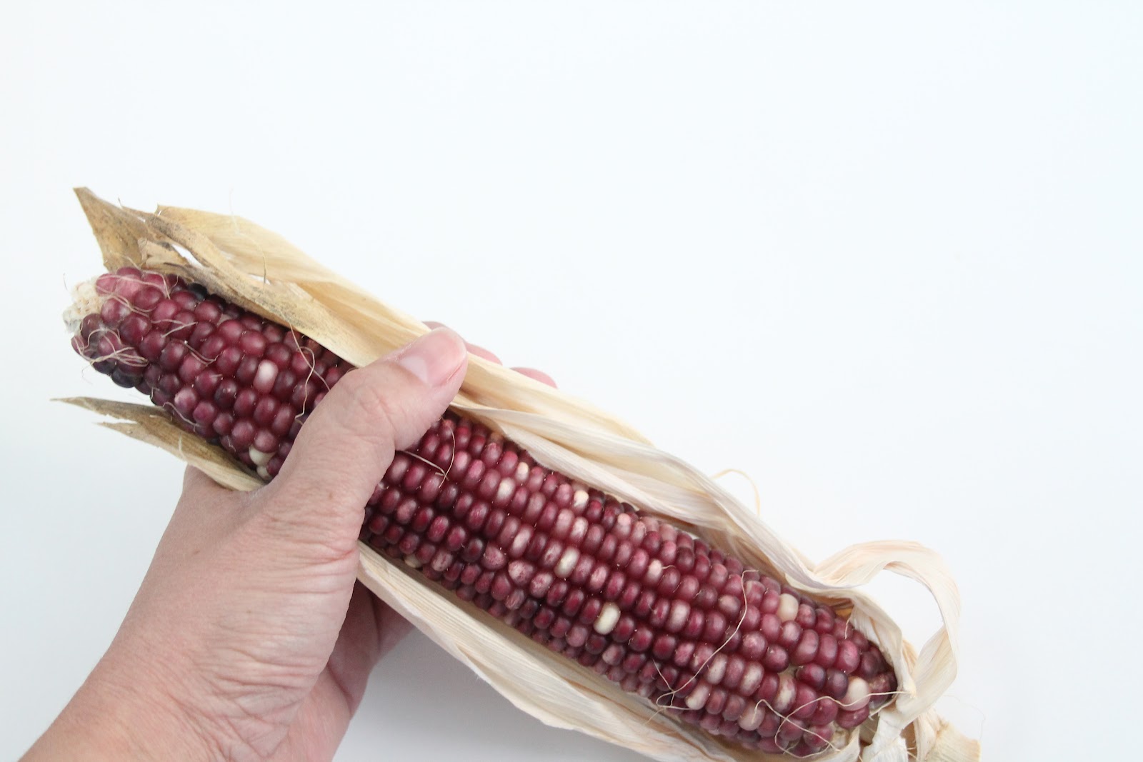 DIY Dried Corn Centerpiece