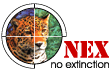 nex no extinction