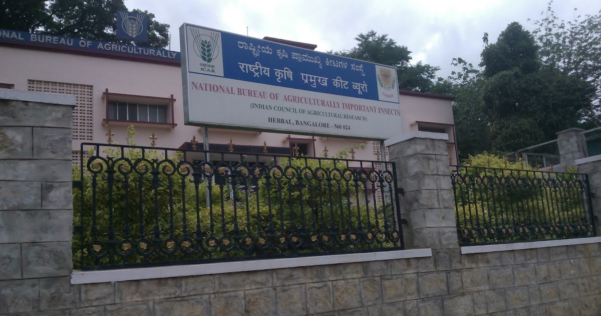 Some Of The Things I Dislike About SAP!