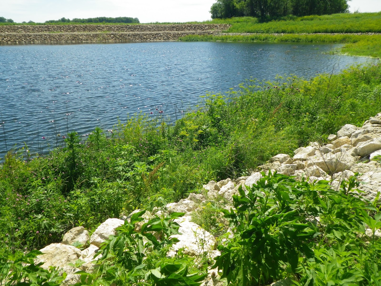 The Lost Grove Lake Mapping Project