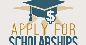 Cheap scholarship writers