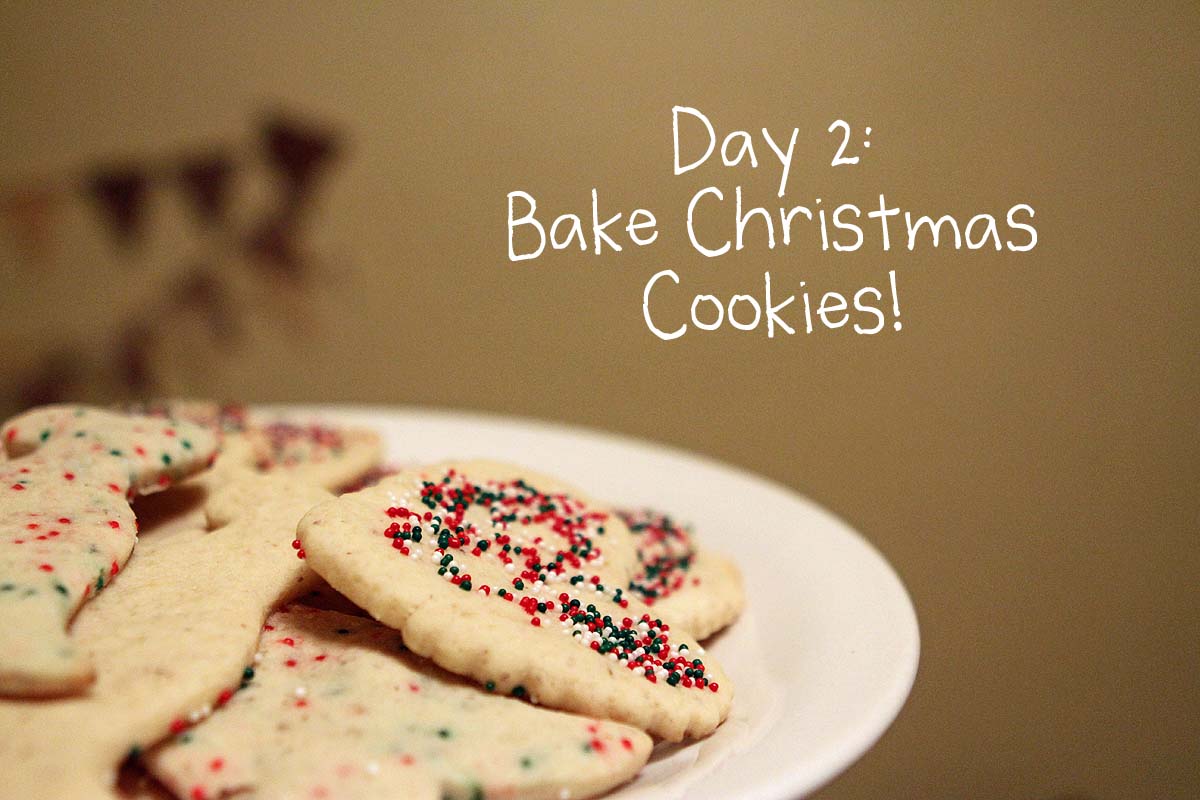 Thin chocolate chip cookies image