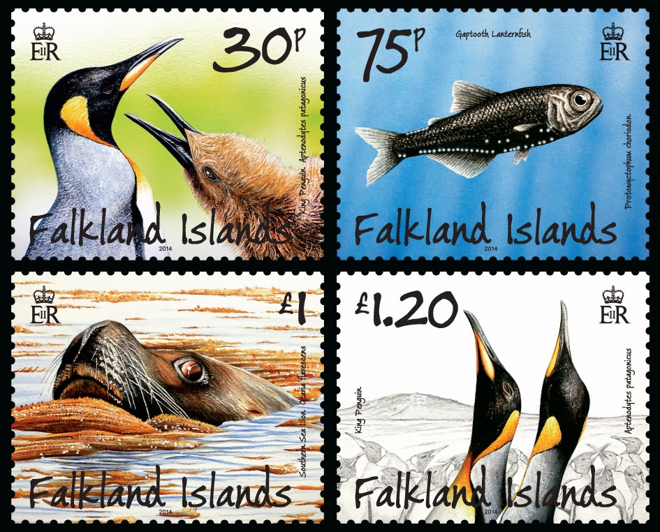 Falkland Islands - King Penguins, Predators and Prey