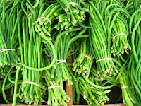 Manfaat Kacang Panjang Manfaat Kacang Panjang