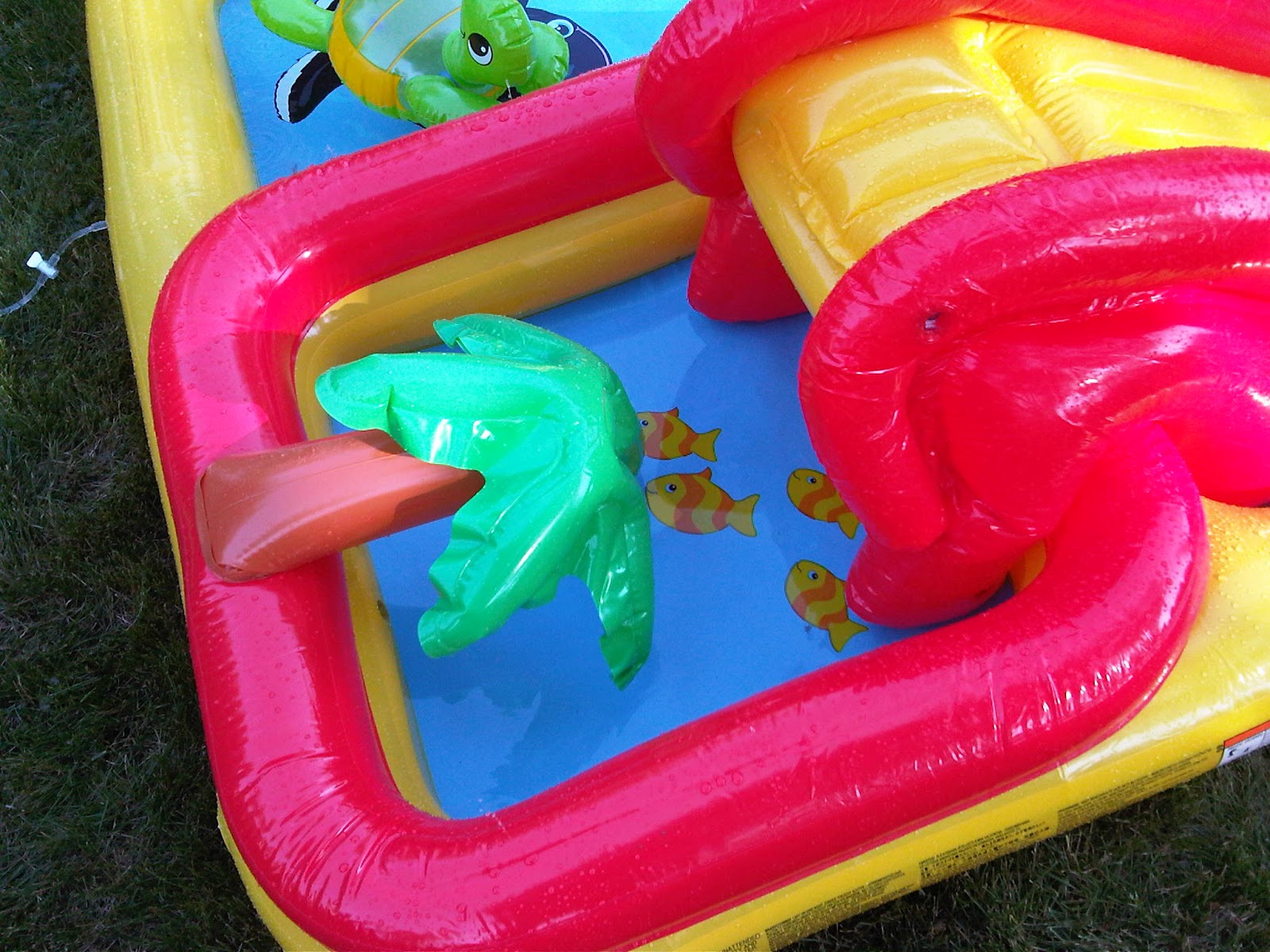 Brad the Dad Review Intex Ocean Play Center