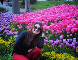 Festival da Tulipa em Emirgan, Istanbul