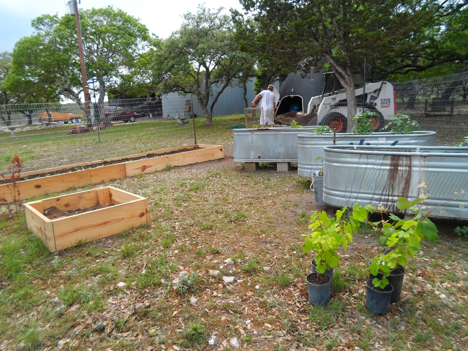 Earthworms and Marmalade Raised Beds from Bare Bones and
