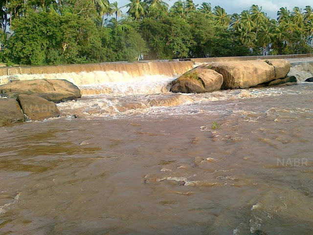 263877_208596302509234_176179869084211_4