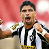 Botafogo estréia com empate no estadual