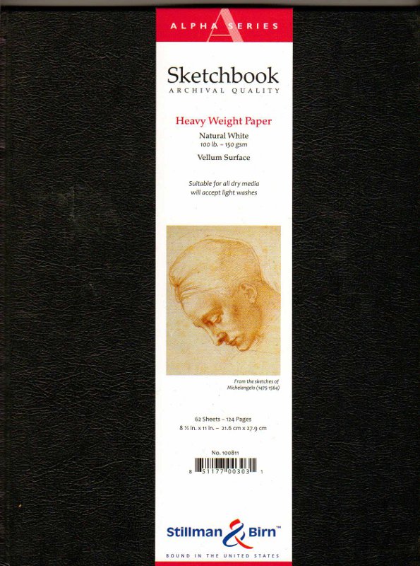Stillman & Birn Epsilon Series Sketchbook - 12 x 9, Portrait, Wirebound,  50 Sheets, BLICK Art Materials