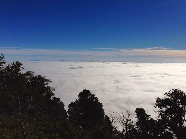 Cada 10 años un río de niebla llena el Gran Cañón.