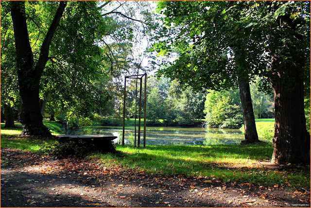 Ploskovice rybník září 2011