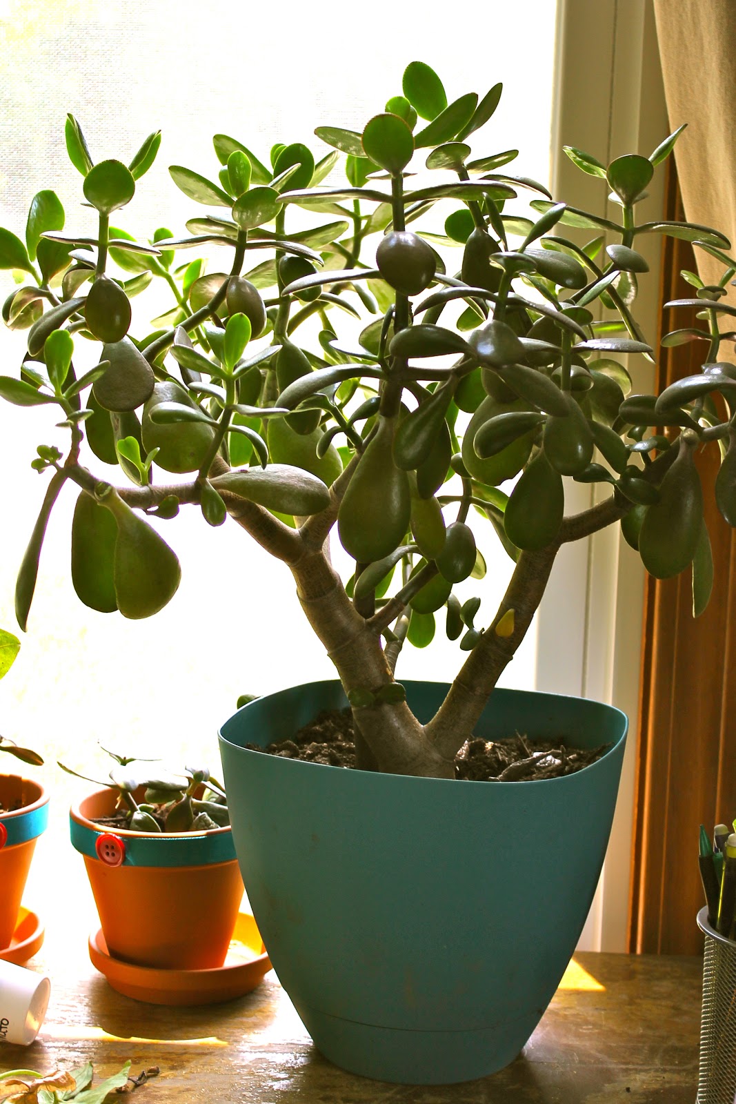 Blogwarts School of Knits, Crafts, and Wizardry Blogwarts School of Knits, Crafts, and Wizardry