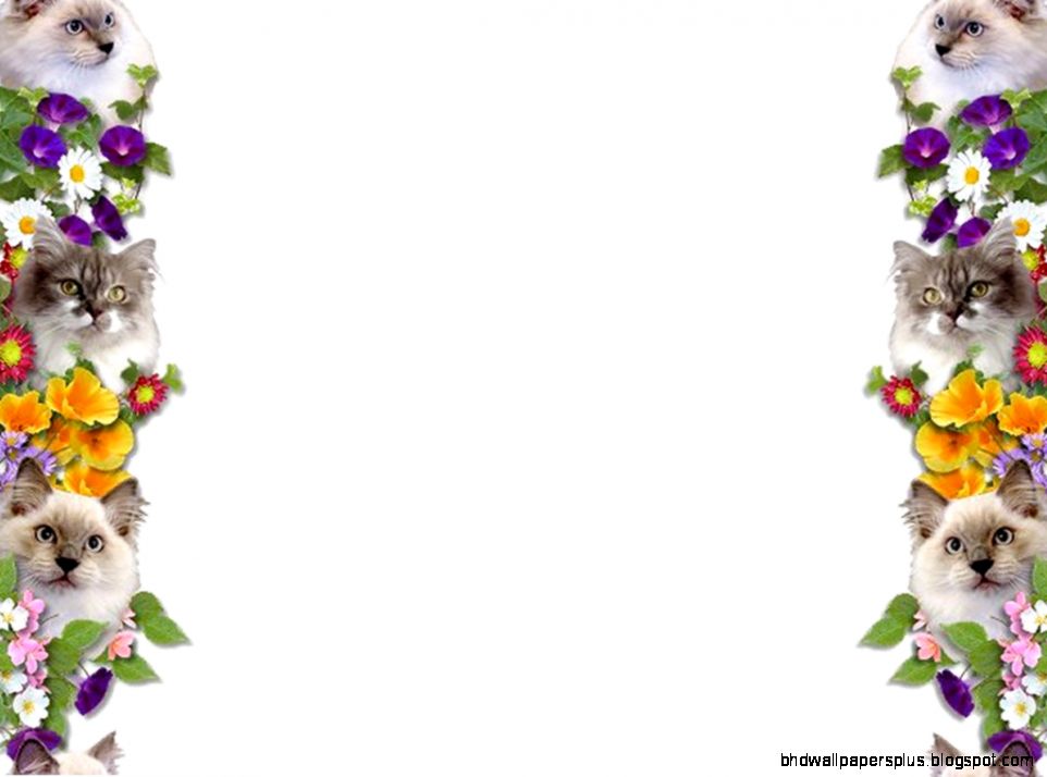 Cat Borders and Frames Cat Borders and Frames