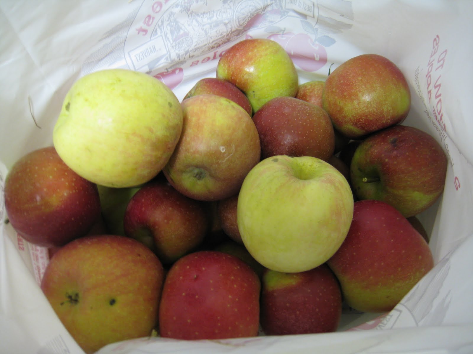 Grill A Chef Your One a Day [apples] in A New Way...