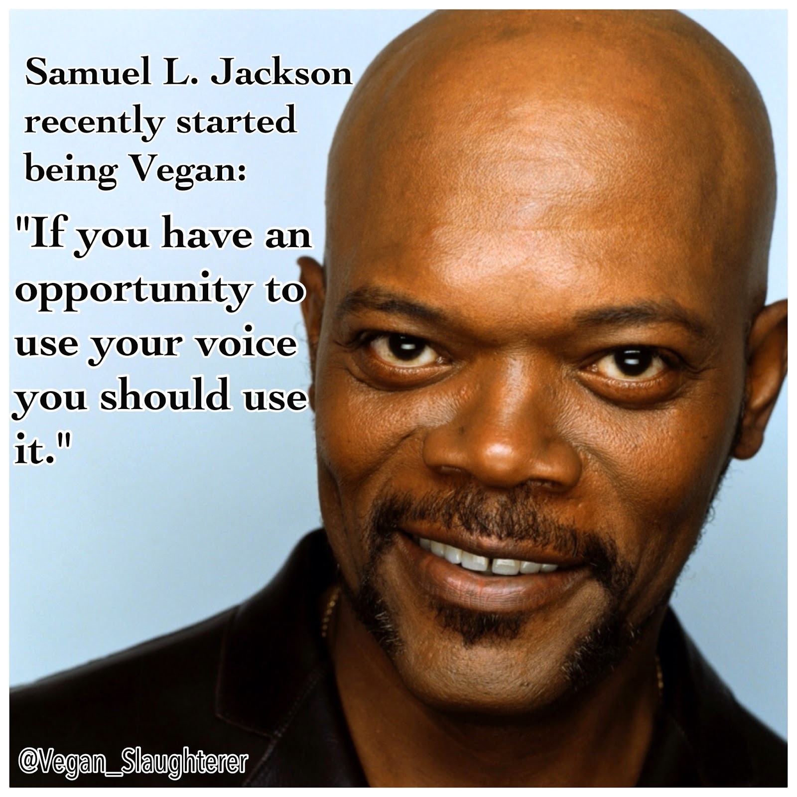 We're All Animals: On Celebs Who Go Vegan, But Not For the Animals1600 x 1600