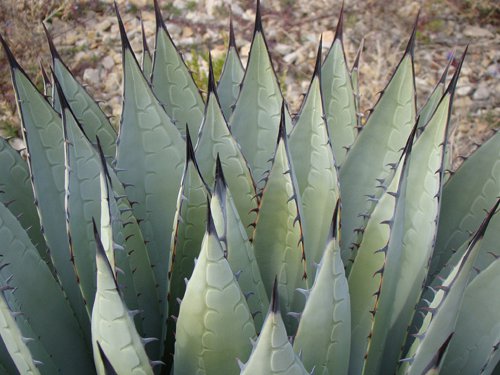 On the Road with Lisa D., Rediscovering America: Photos: Keystone