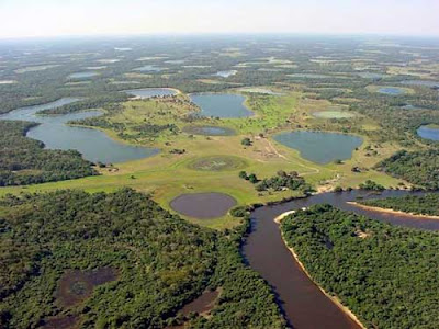 Pantanal - Maior Área Alagada do Planeta 