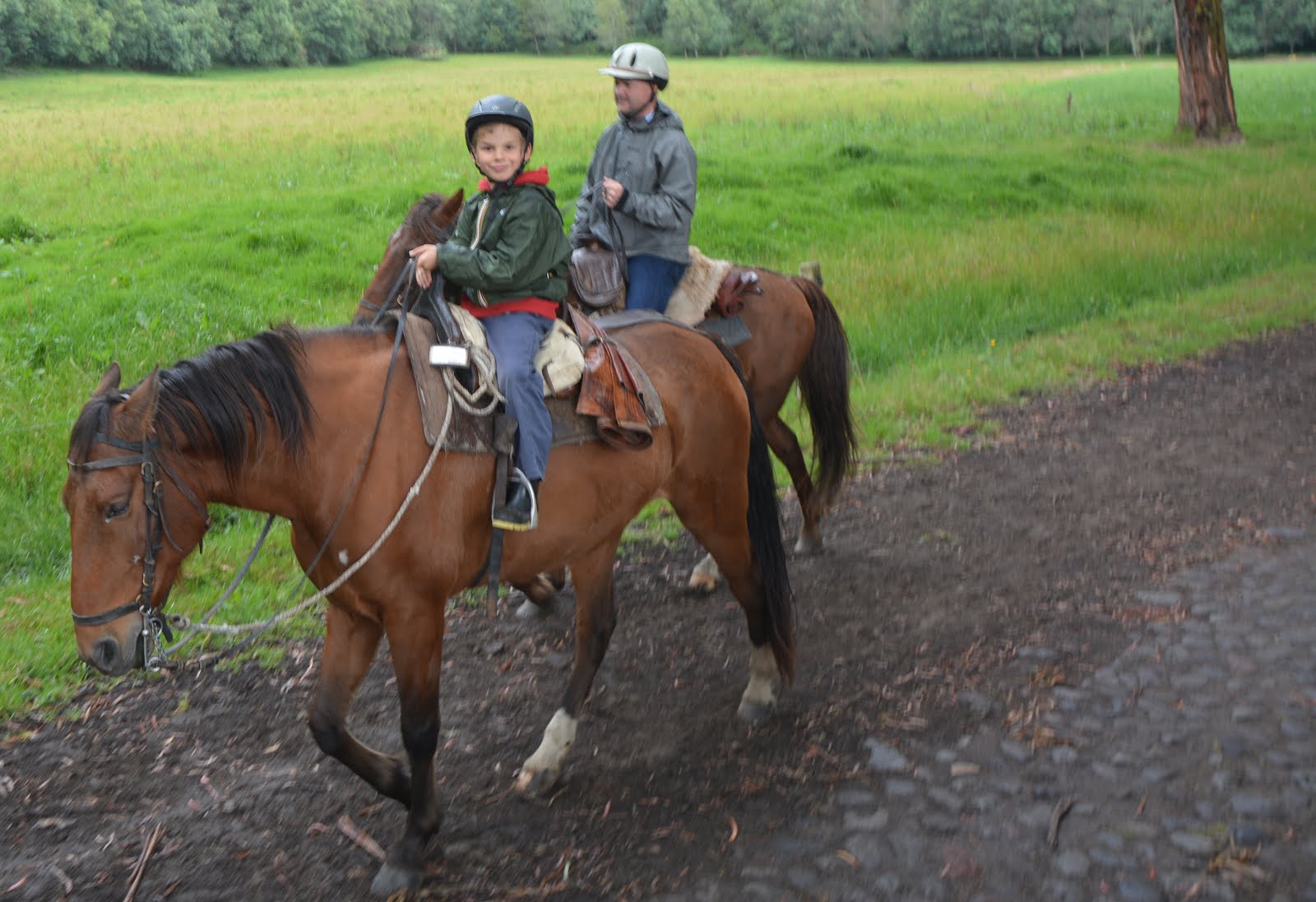 Paardrijden in de Andes