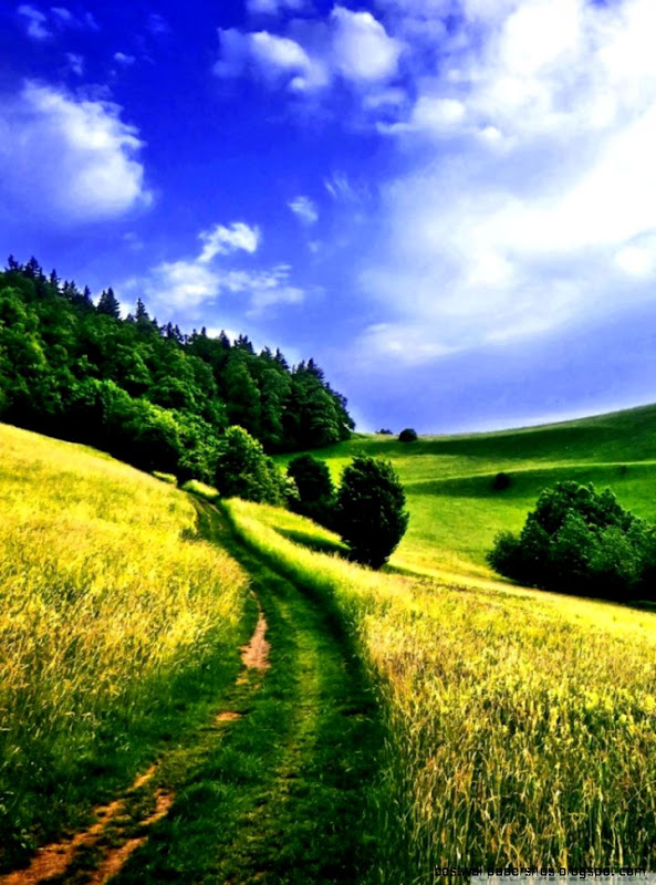 Beautiful Surroundings HD desktop wallpaper High Definition Beautiful Surroundings HD desktop wallpaper High Definition