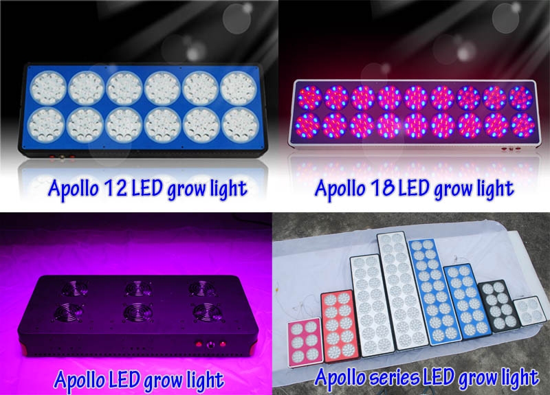 Hydroponicslights Do LEDs Lose Light Intensity with Time?What do you