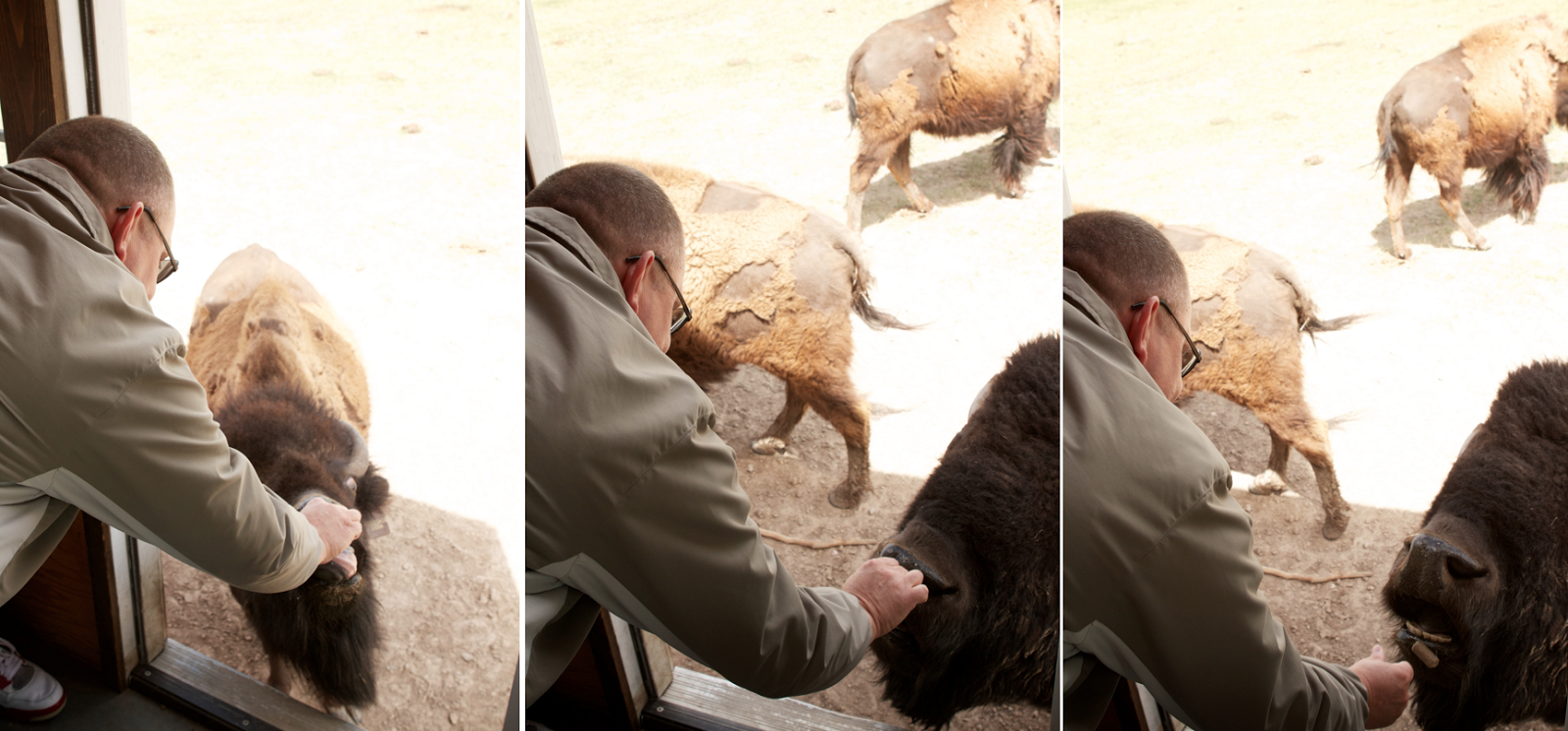 Love Laughter Leisure Terry Bison Ranch Cheyenne Wyoming