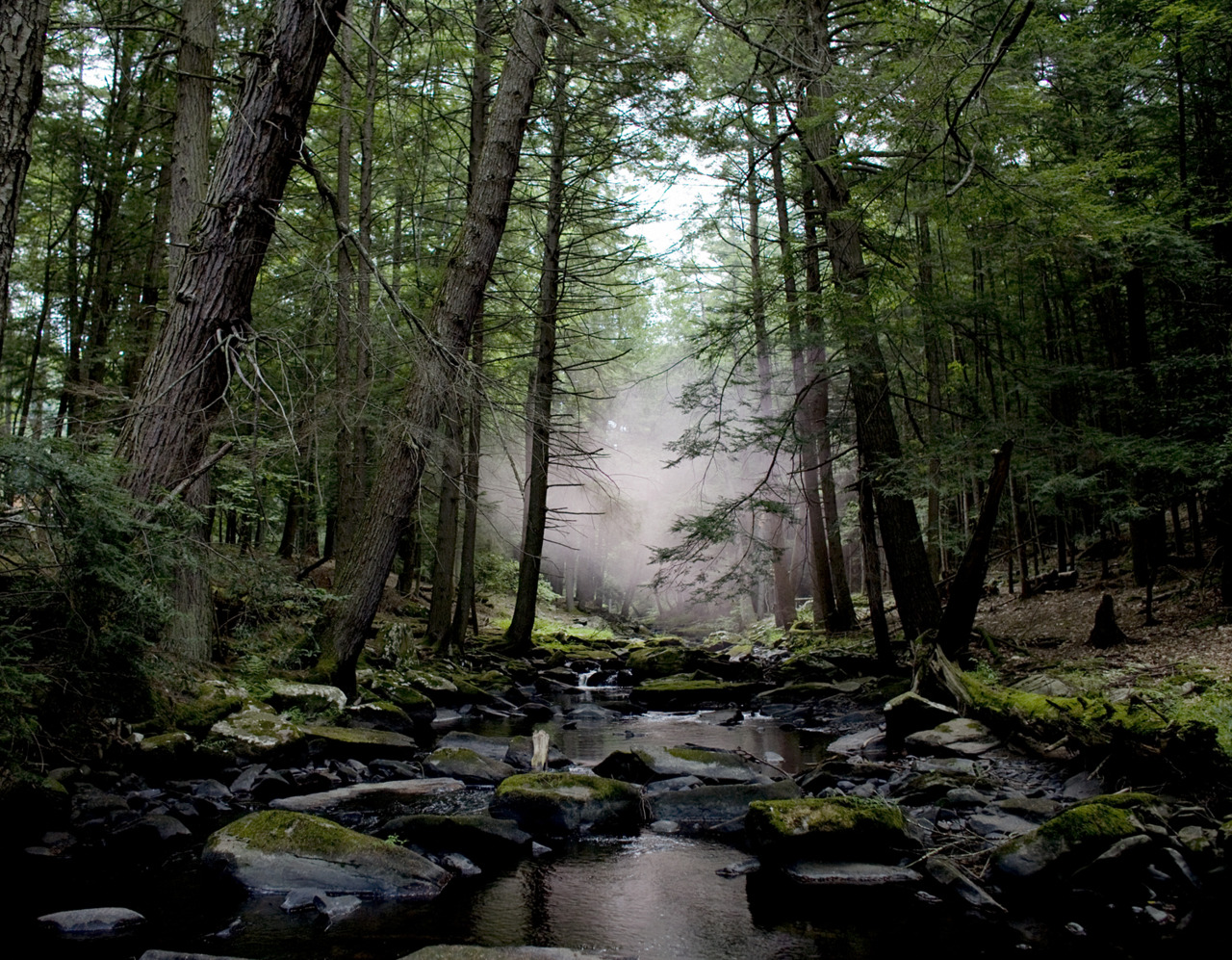 simplystatedliving Beaver Brook