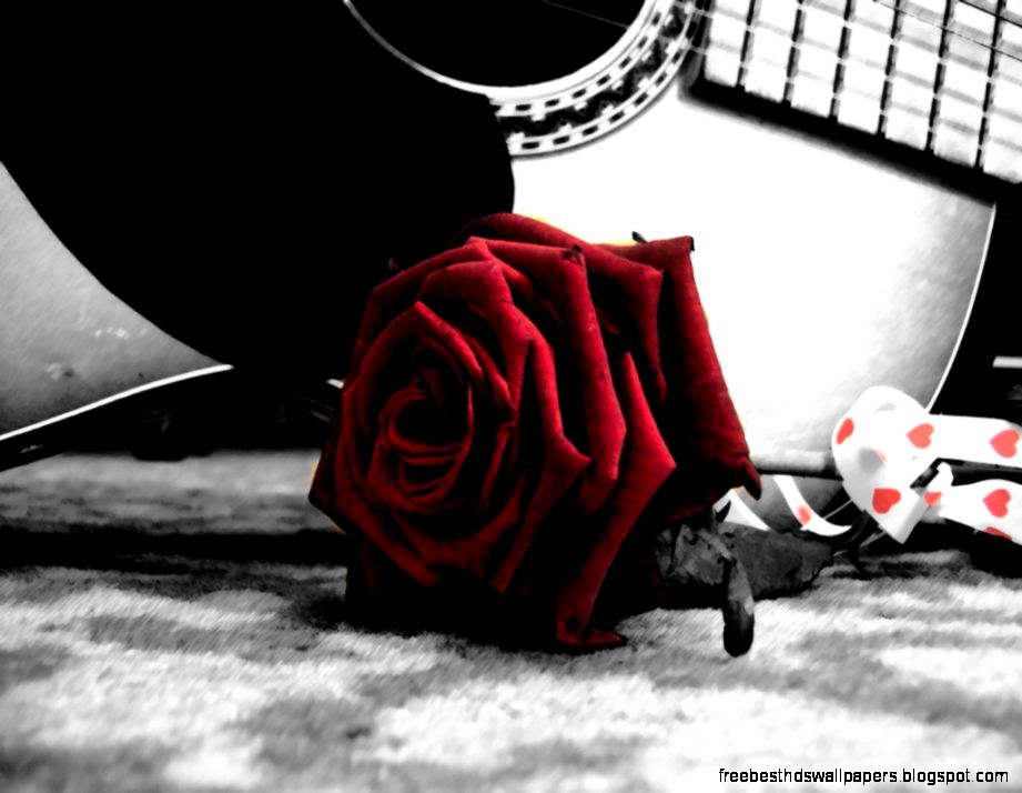 guitar and rose by Louise We Heart It guitar and rose by Louise We Heart It