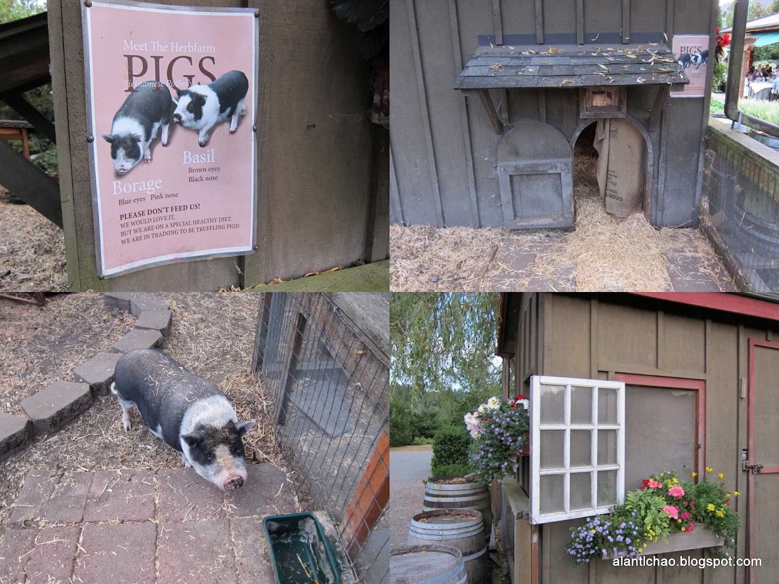 [食記] 有機食材與美食結合的極致 Herb Farm Woodinville/Seattle, WA Alan's Life