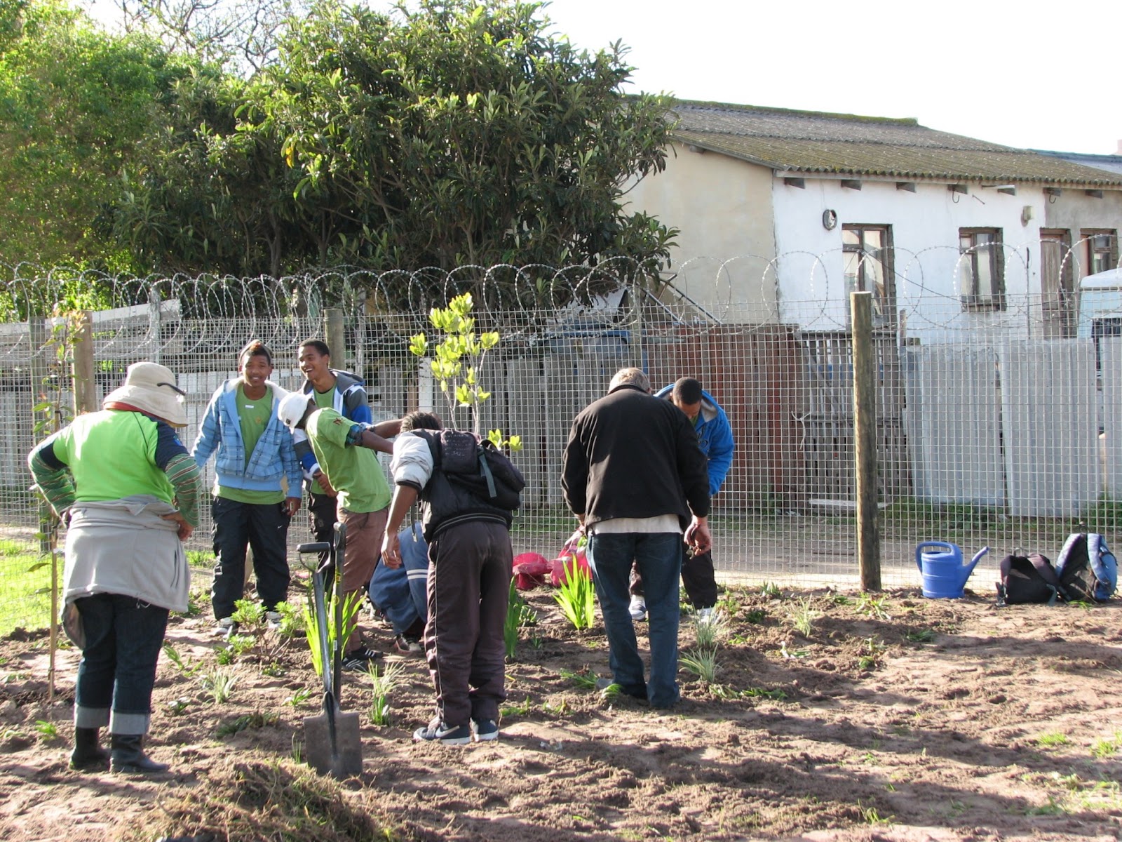 Fynbos Gardens Hermanus Madiba day Mount Pleasant, Hermanus