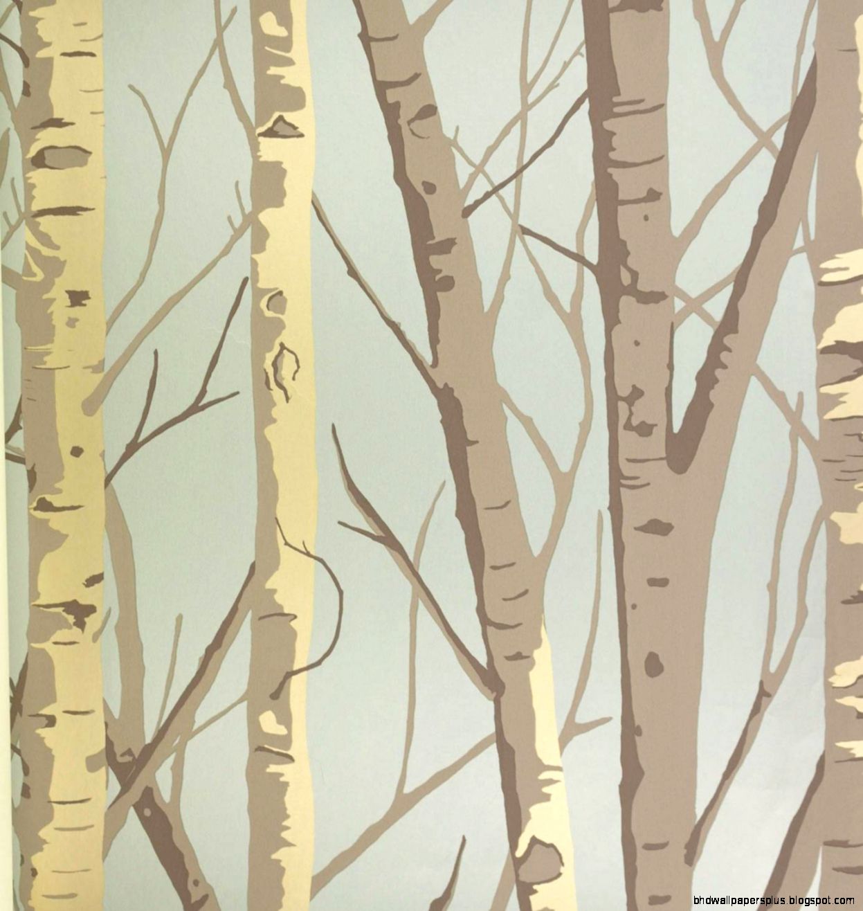 Birch Tree Wallpaper for Home Birch Tree Wallpaper for Home