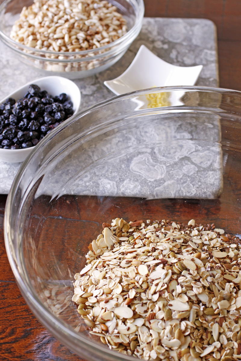 There's a Newf in My Soup! Easing Back with BlueberryPumpkin Seed