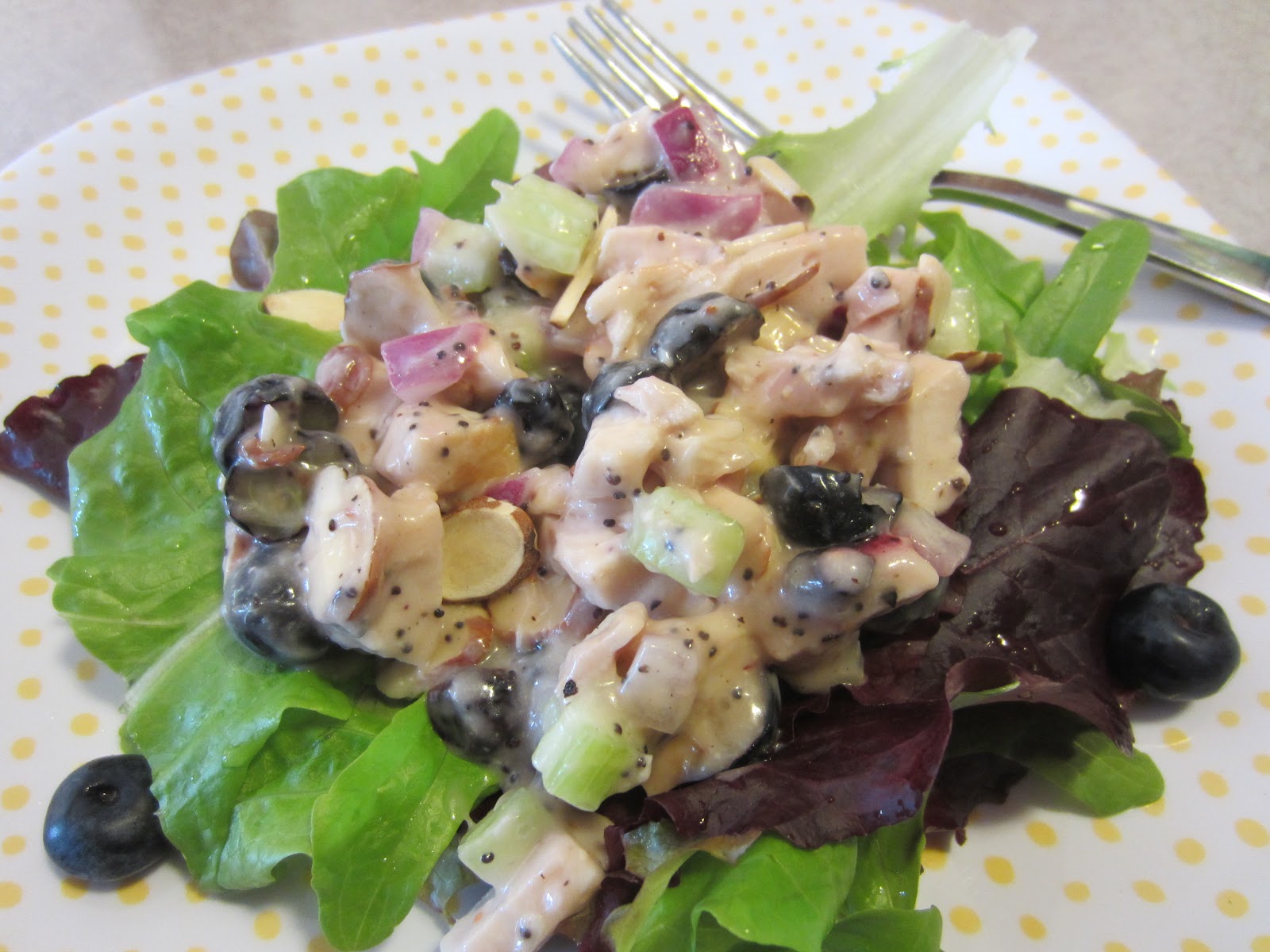 Renee's Kitchen Adventures Blueberry Chicken Salad