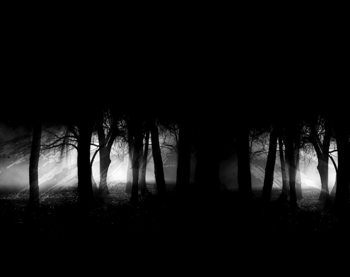 3020 Dark Forest Moon Android Wallpaper 3020 Dark Forest Moon Android Wallpaper