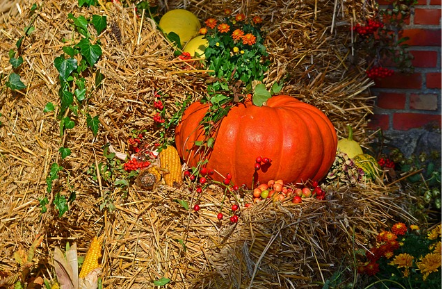 Male thanksgiving wallpaper