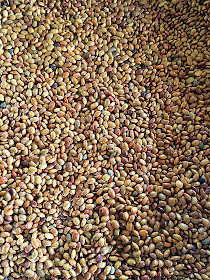 Cook like Priya: Horsegram Powder for weight loss | Kollu Podi