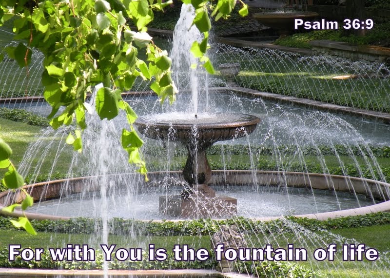 These Grace Filled Days Fountain of Life