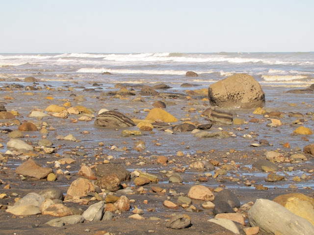 waihi-beach-taranaki